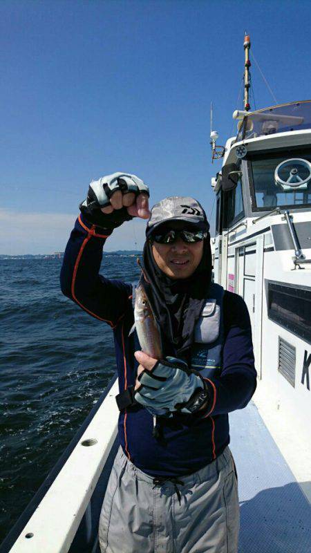 金沢八景鴨下丸 釣果