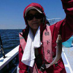 金沢八景鴨下丸 釣果