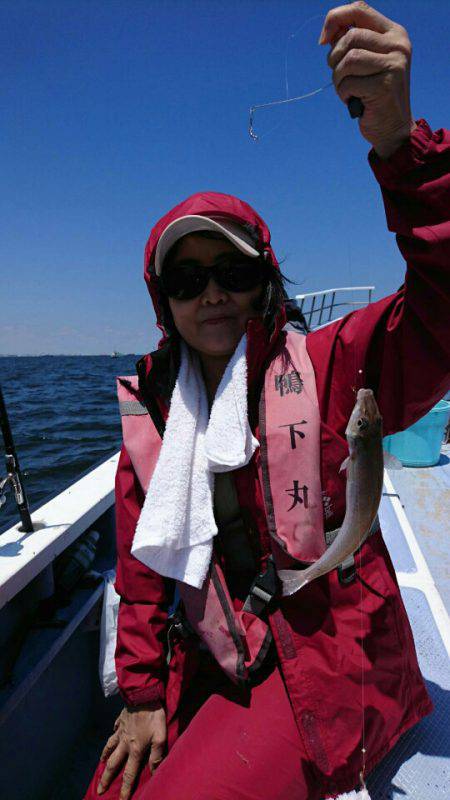 金沢八景鴨下丸 釣果