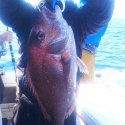 ブルドック 釣果