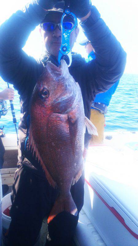 ブルドック 釣果