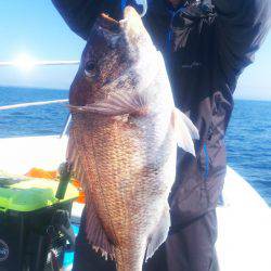 ブルドック 釣果