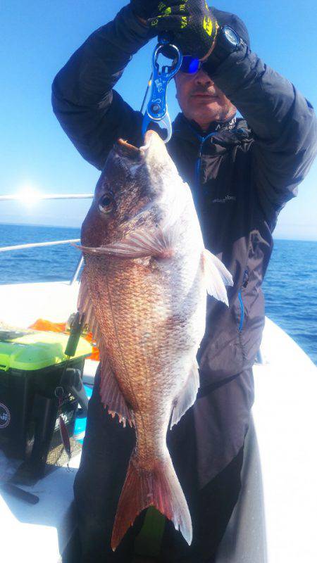 ブルドック 釣果