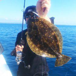 ブルドック 釣果