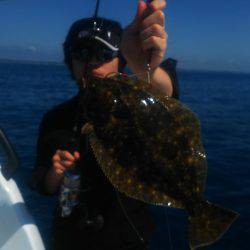 ブルドック 釣果