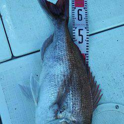 タイラバ遊漁船 ワンピース 釣果