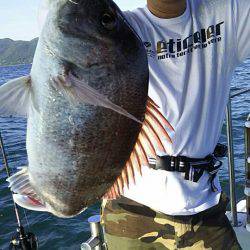 タイラバ遊漁船 ワンピース 釣果