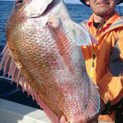 ARCADIAⅡ (アルカディアⅡ) 釣果