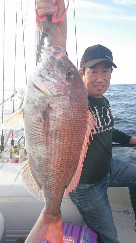 ARCADIAⅡ (アルカディアⅡ) 釣果