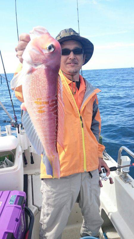 ARCADIAⅡ (アルカディアⅡ) 釣果