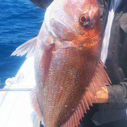 ブルドック 釣果