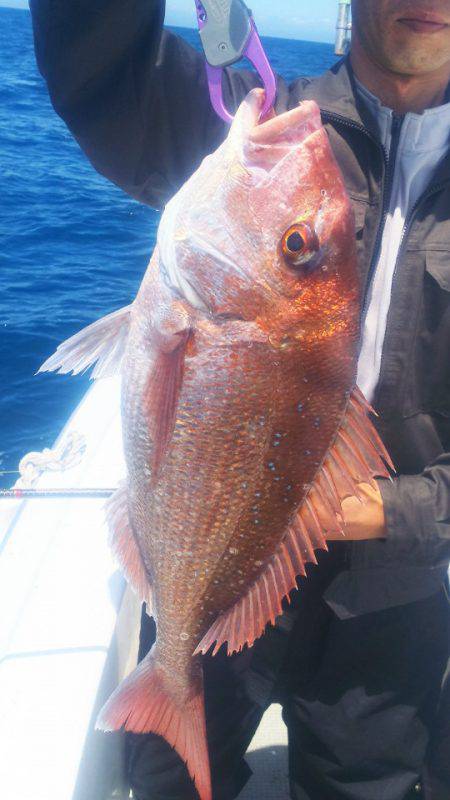 ブルドック 釣果