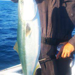 ブルドック 釣果