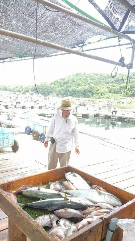 海の釣堀 海恵 釣果