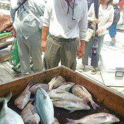 海の釣堀 海恵 釣果