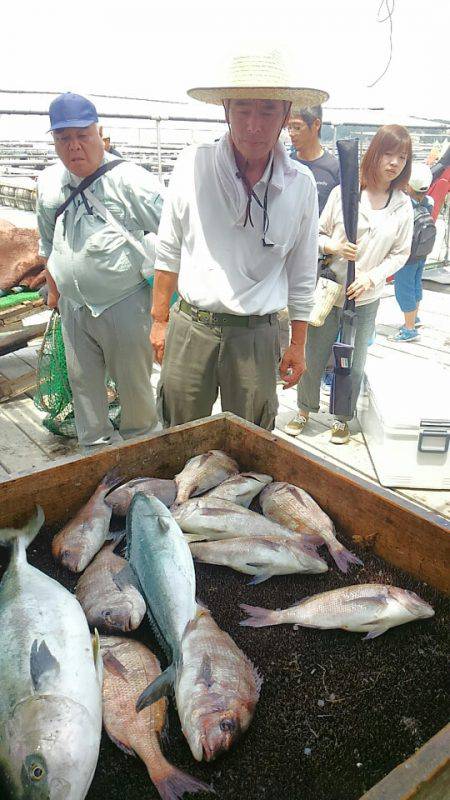 海の釣堀 海恵 釣果