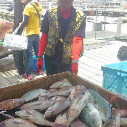 海の釣堀 海恵 釣果