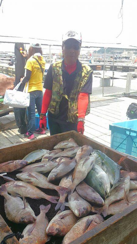 海の釣堀 海恵 釣果