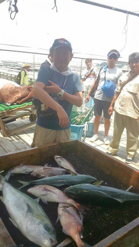 海の釣堀 海恵 釣果