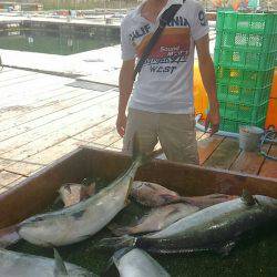 海の釣堀 海恵 釣果