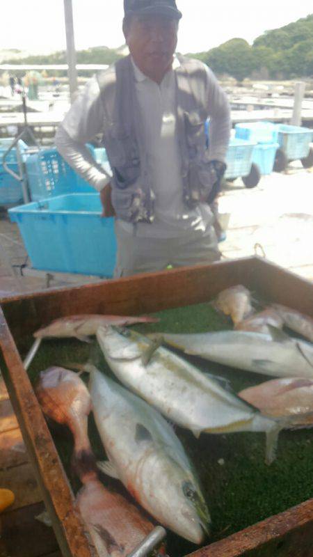 海の釣堀 海恵 釣果