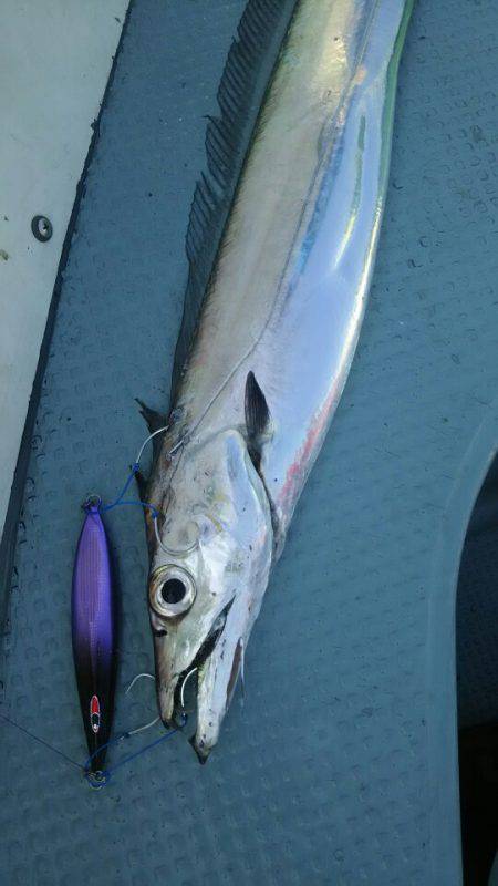 サンマリン 釣果