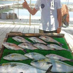 海の釣堀 海恵 釣果