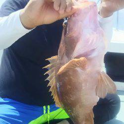 サンマリン 釣果