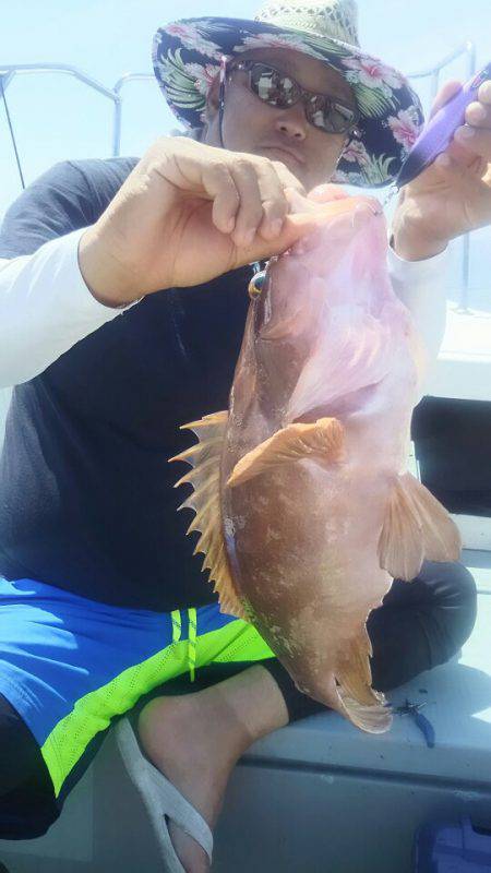 サンマリン 釣果