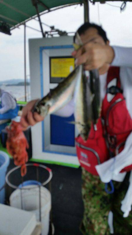 小島丸 釣果