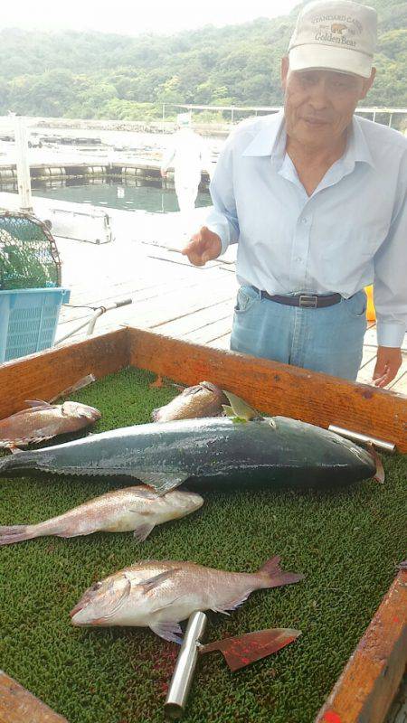 海の釣堀 海恵 釣果