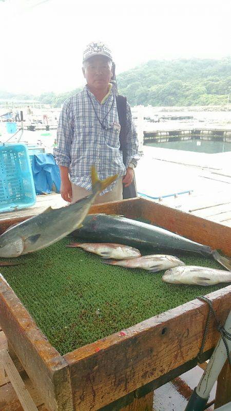 海の釣堀 海恵 釣果