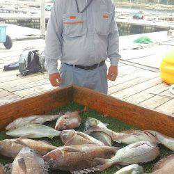 海の釣堀 海恵 釣果