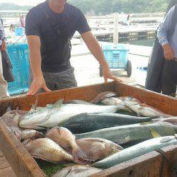 海の釣堀 海恵 釣果
