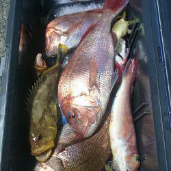 ARCADIAⅡ (アルカディアⅡ) 釣果