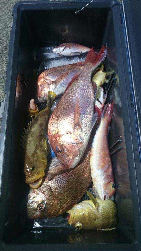 ARCADIAⅡ （アルカディアⅡ） 釣果…