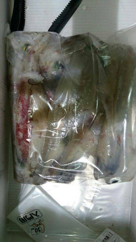 海龍丸（石川） 釣果