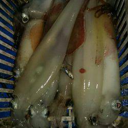 海龍丸（石川） 釣果