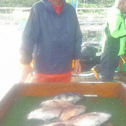 海の釣堀 海恵 釣果