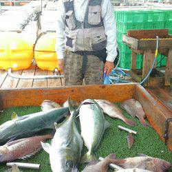 海の釣堀 海恵 釣果