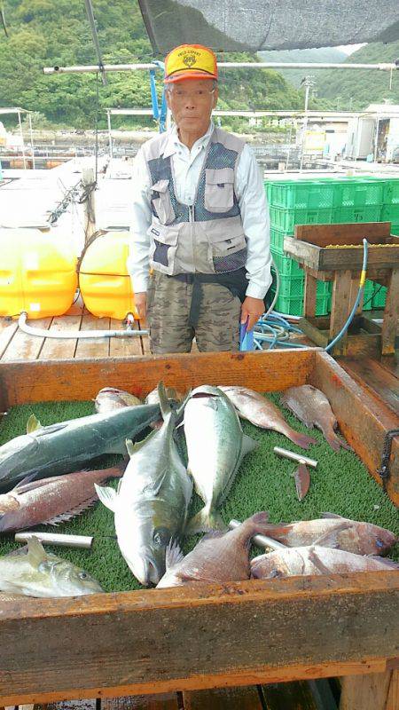 海の釣堀 海恵 釣果