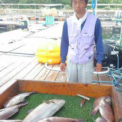海の釣堀 海恵 釣果