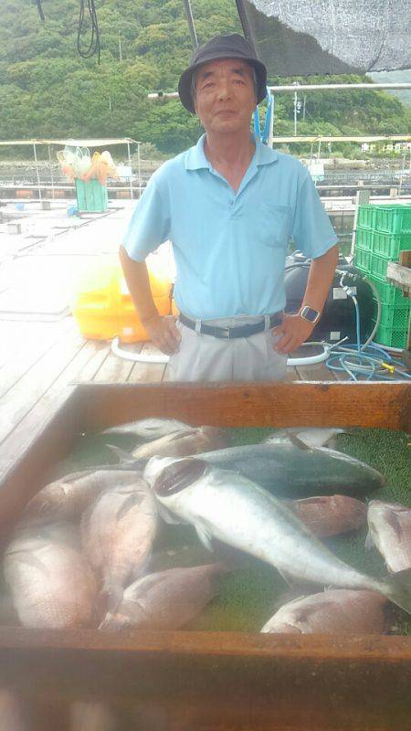 海の釣堀 海恵 釣果