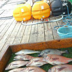 海の釣堀 海恵 釣果