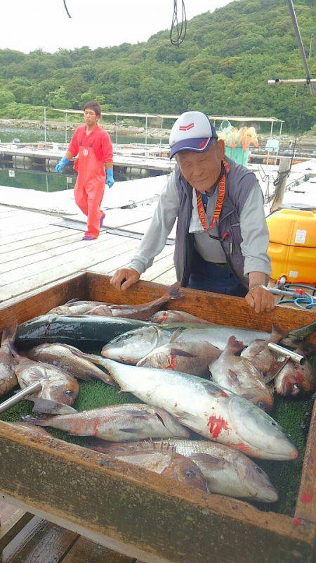 海の釣堀 海恵 釣果