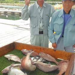 海の釣堀 海恵 釣果
