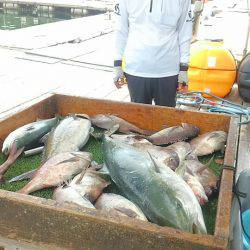 海の釣堀 海恵 釣果