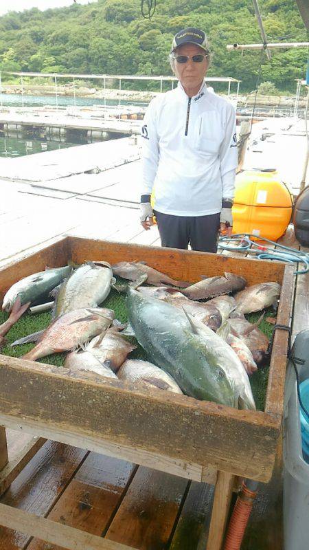 海の釣堀 海恵 釣果