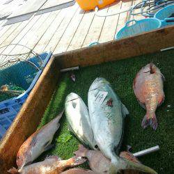 海の釣堀 海恵 釣果