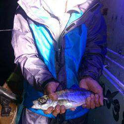 海龍丸（石川） 釣果